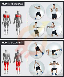 Kit Complet Bandes Élastiques de Musculation